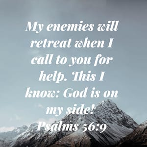 Psalm 56:9 Bible Verse Image